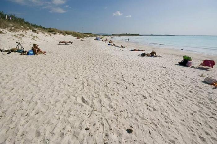 Sole...Mare...E...Spiaggie Bianche! Apartment Vada Ngoại thất bức ảnh
